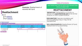 Root Operation Video 5 ROOT OPERATIONS THAT PUT INPUT BACK OR MOVE SOME OR ALL OF A BODY PART [upl. by Fai465]