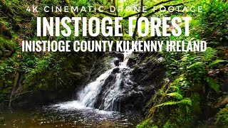 4k Cinematic drone footage inistioge forest County Kilkenny Ireland 🇮🇪 drone ireland nature [upl. by Sorips673]