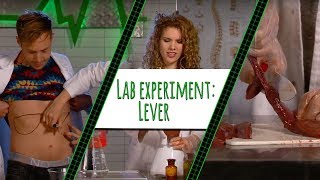 EEN LEVER IN DE BLENDER  LAB EXPERIMENT [upl. by Chrystel]