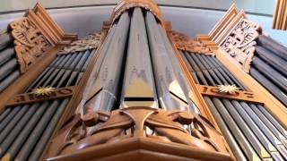 Buxtehude  Praeludium in g BuxWV 149 Joost Dhont organ [upl. by Winton]