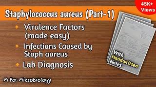 Staphylococcus aureus part1  Virulence factors  Infections  Clinical features  Lab diagnosis [upl. by Ben31]