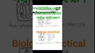 মাইটোসিস কোষ বিভাজনের বিভিন্ন পর্যায় পর্যবেক্ষণ biology practical hsc practical [upl. by Aitret]