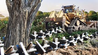 Clearing Wooded Land with Anchor Chain and Bulldozer [upl. by Inaffets346]