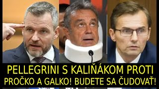 Pellegrini s Kaliňákom proti Pročkovi s Galkom  Budete sa čudovať čo znovu stvárali v NRSR [upl. by Wolgast]