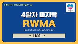 RWMA TEST echocardiography 심장초음파 heart echo view coronaryartery coroanry territory tte [upl. by Yttig]