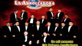 De mil maneras  La Arrolladora Banda el Limón [upl. by Byrann775]