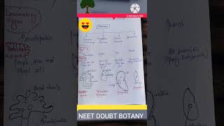 Protozoans  Biological Classification [upl. by Olracnaig9]