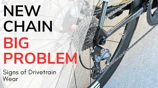 🚴‍♀️ Bicycle Chain Reaction🛠️ The Truth About Bike Drivetrain Wear 🛠️ [upl. by Manthei]