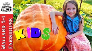 Pumpkin Farm Learning Video 🎃 FOR KIDS [upl. by Townshend899]