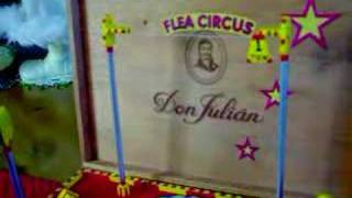 cigar box flea circus [upl. by Duntson]