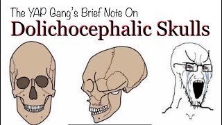 Brief Note on Dolichocephalic Skulls by the YAP Gang [upl. by Piotr]