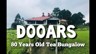 80 Years Old Bungalow inside North Bengals Tea Garden  Samsing Tea Estate [upl. by Ttoille]