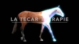 Tecar Thérapie paarden [upl. by Salim]