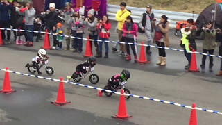 Wild Runner Cup 6th  4 years old  Final race  Strider racing in Japan [upl. by Merow]