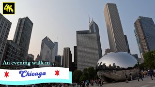 Exploring Downtown Chicago A Summer Adventure from the Bean [upl. by Docia]