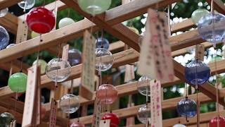 Kawagoe Hikawa Shrine Enmusubi Wind Chime Festival [upl. by Ellekim]