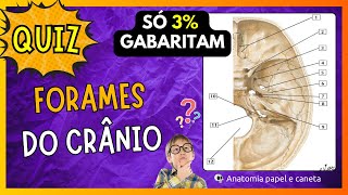 Quiz de Anatomia  Forames do crânio [upl. by Jary]