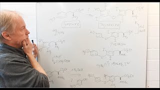 Why two methods for iodinations in the synthesis of thyroxine  Chemistry of Medicinal Drugs 8 [upl. by Fraser]