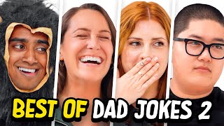 Dad Jokes  Dont laugh Challenge  Best Moments 2  Raise Your Spirits [upl. by Anilek816]