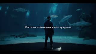 Acquario di Genova ecco il nuovo spot pubblicitario [upl. by Leeann]