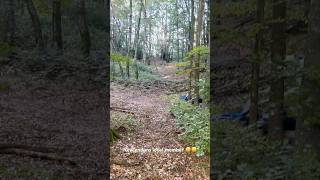 Saturday enduro trip  300 SEF Sherco Nico [upl. by Glanville306]