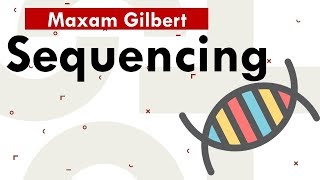 Maxam gilbert sequencing [upl. by Florence]