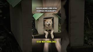 Seekor Anjing Lebih Setia Daripada Keluarganya film alurfilm filmdrama [upl. by Inele137]