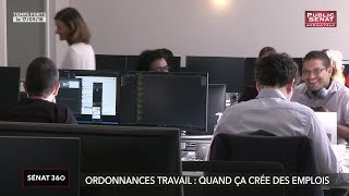 Ordonnances travail Plan Santé Affaire Benalla  Sénat 360 21092018 [upl. by Charmine]