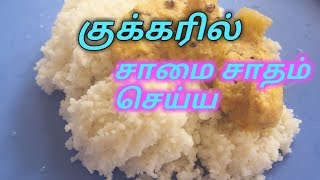 சாமை சாதம் குக்கரில் செய்வது எப்படிhow to cook Samai millets in cooker [upl. by Edaj]