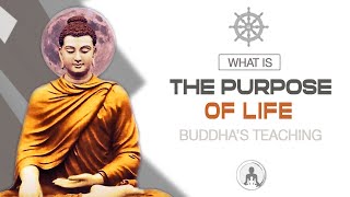 Buddhism What is The Purpose of Life [upl. by Atinaw937]