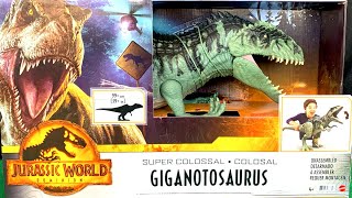 Dinossauros Giganotossauro Colossal  Jurassic World Dominion Jurassic Park [upl. by Narine]