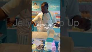 Jellycat Patisserie Pop Up Paris jellycat paris kawaii [upl. by Elik]