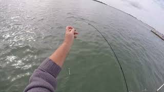 Fishing in Langstone Harbour [upl. by Editha673]