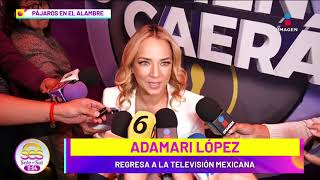 Adamari López REGRESA a la tele en México y NO quiere hablar más de Luis Fonsi  Sale el Sol [upl. by Hsreh]