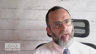 Rabbi Yaakov Shapiro on Israels Nation State Law [upl. by Atinad715]