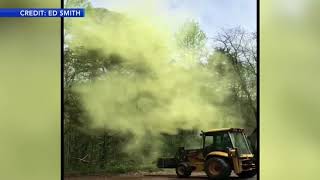 Pollen bomb after digger hits tree in Millville New Jersey [upl. by Doane855]