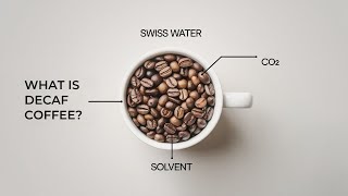 How is Coffee Decaffeinated [upl. by Anila]