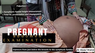 EXAMINATION OF PREGNANT ABDOMEN WITH EXPLANATION leopold maneuver pregnancy pregnant abdomen [upl. by Alyworth347]