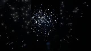 GROWLER 5” NO 20 Blue and white glitter firework [upl. by Oeram537]