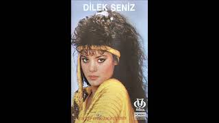 Dilek Şeniz  Sen İnsanı Öldürürsün 1988 [upl. by Ofella531]