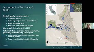 Algal Bloom Action Team Webinar Understanding Microcystis Dynamics from Dry to Wet Years [upl. by Gerlac556]