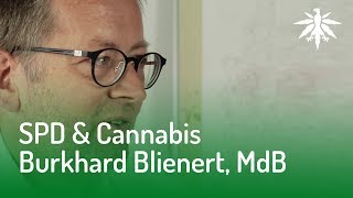 SPD amp Cannabis Interview mit Burkhard Blienert [upl. by Brittnee]