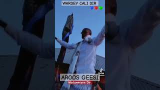 AROOS GALBIS WARDEY CALI DIR [upl. by Enovahs]