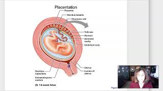 Week 3 Part 3 Labor and milk production [upl. by Jameson662]