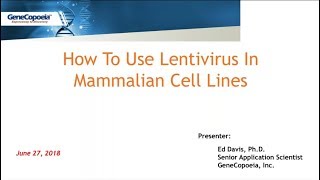 How To Use Lentivirus In Mammalian Cell Lines [upl. by Isidoro824]