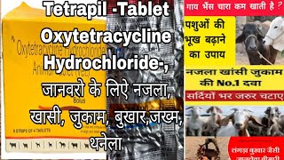 Oxytetracycline Hydrochloride Tablets Tetrapil tablets for Animal Use जानवरो मे उपयोग ली जाने वाली [upl. by Lerej338]