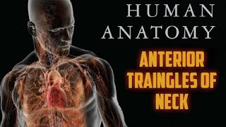 ANTERIOR TRAINGLES OF NECK  INTRODUCTION [upl. by Ayhdiv]