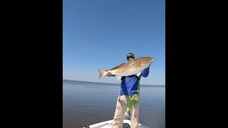 Giant Redfish In Louisiana’s Biloxi Marsh [upl. by Peers703]