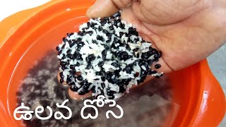 ఉలవ దోసెHorse Gram DosaHuruli Kalu DosaUlava AttuKollu Dosa RecipeHorsegram Dosa Recipe Telugu [upl. by Nyleahcim]