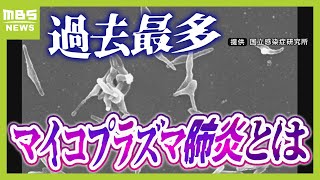 【マイコプラズマ肺炎って？】８年ぶり感染拡大で『過去最多』症状消えても感染力あり「歩く肺炎」とも 実は「うがい」はあまり予防効果なし！？（2024年10月9日） [upl. by Jeavons]